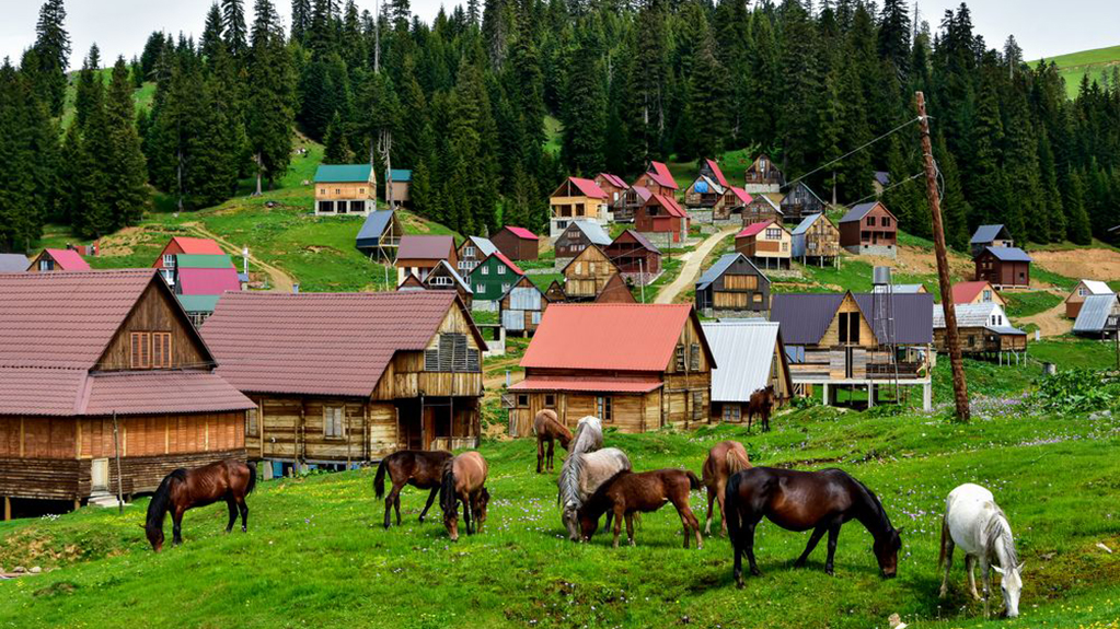 ბახმაროში კოტეჯის უკანონოდ აშენების მცდელობის საქმეზე ორი პირი დააკავეს