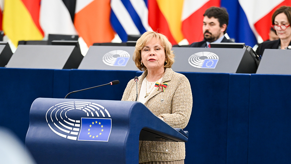 ევროპარლამენტარები EU-ს კვლავ მოუწოდებენ ივანიშვილისა და კობახიძის დასანქცირებისკენ