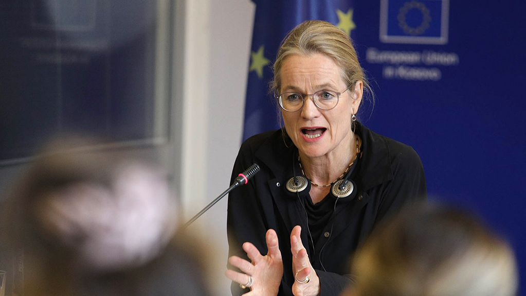  ვიოლა ფონ კრამონი: EU-მა სწრაფად უნდა შეწყვიტოს დაფინანსება და დაასანქციროს ივანიშვილი