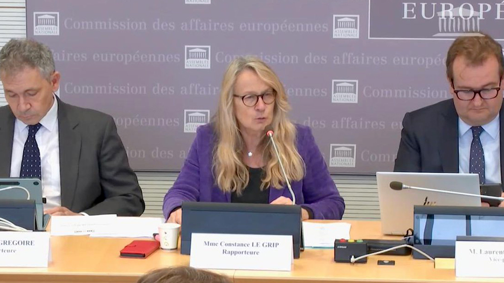  საფრანგეთის პარლამენტში ივანიშვილის საპატიო ლეგიონის ორდენის გაუქმება მოითხოვეს