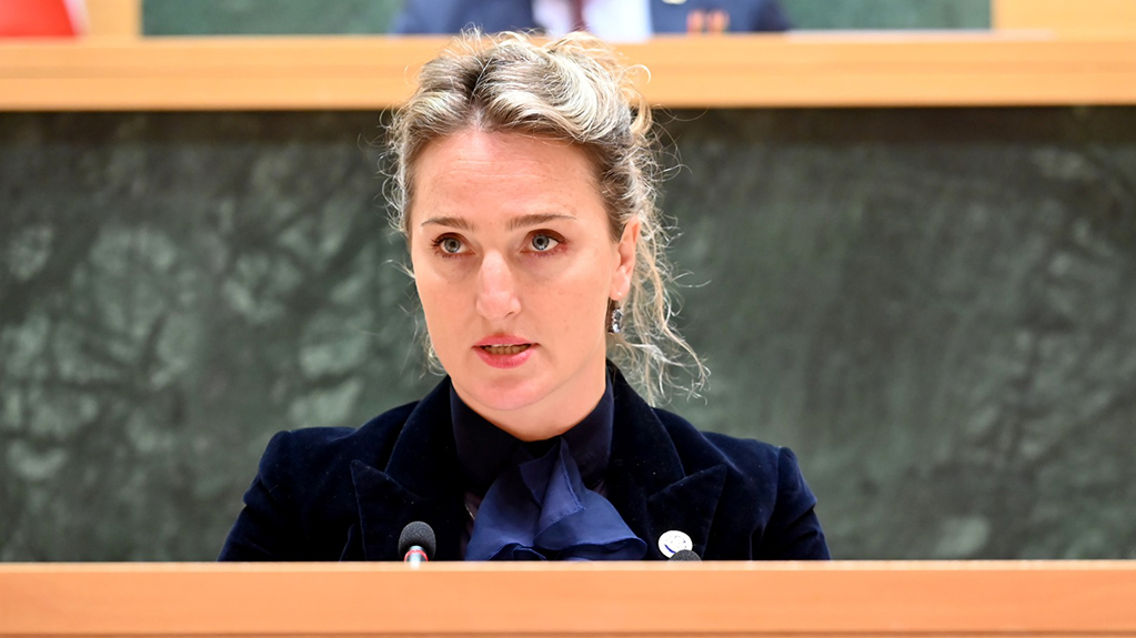  ჯაში: საქართველო გახდება საგანმანათლებლო კერა