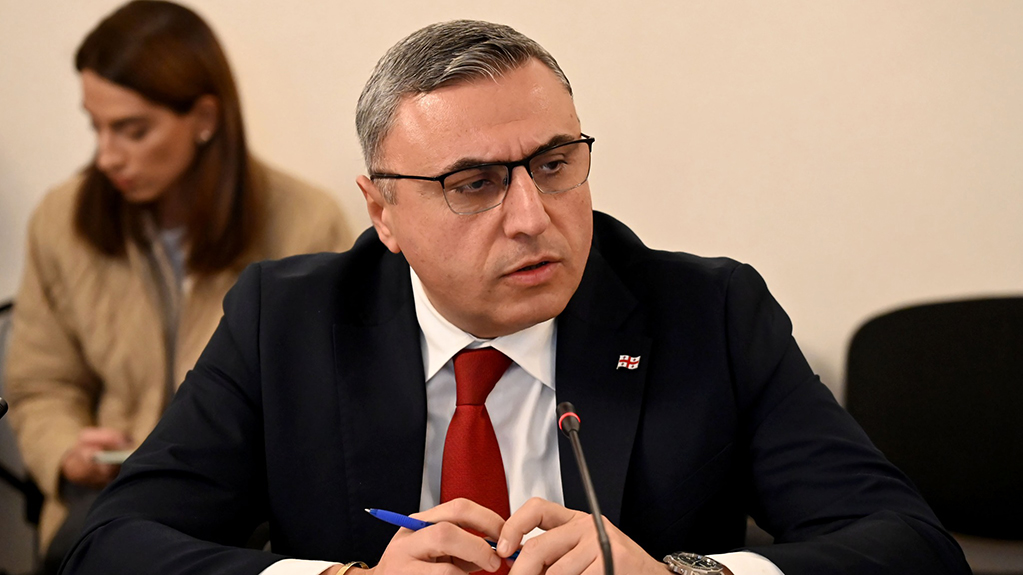  სიცრუეა, რომ ჩვენს ძვირფას ემიგრაციას არჩევნებში მონაწილეობის უფლებას ვართმევთ – მათიკაშვილი