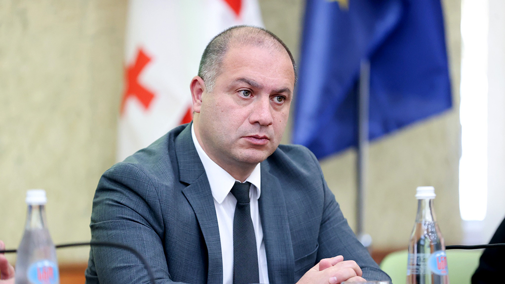  მიქანაძე: რიგ უნივერსიტეტებში შენობები გამოთავისუფლდება და მათი პრივატიზება მოხდება