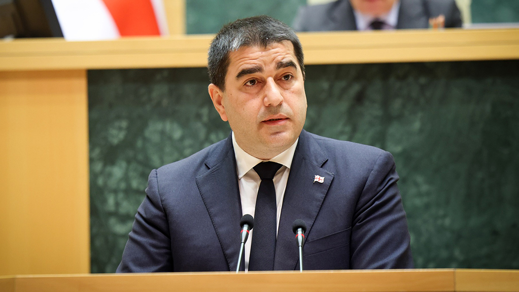  პაპუაშვილი: ელენე ხოშტარიამ ჩაიდინა პოლიტიკურად მოტივირებული დანაშაული