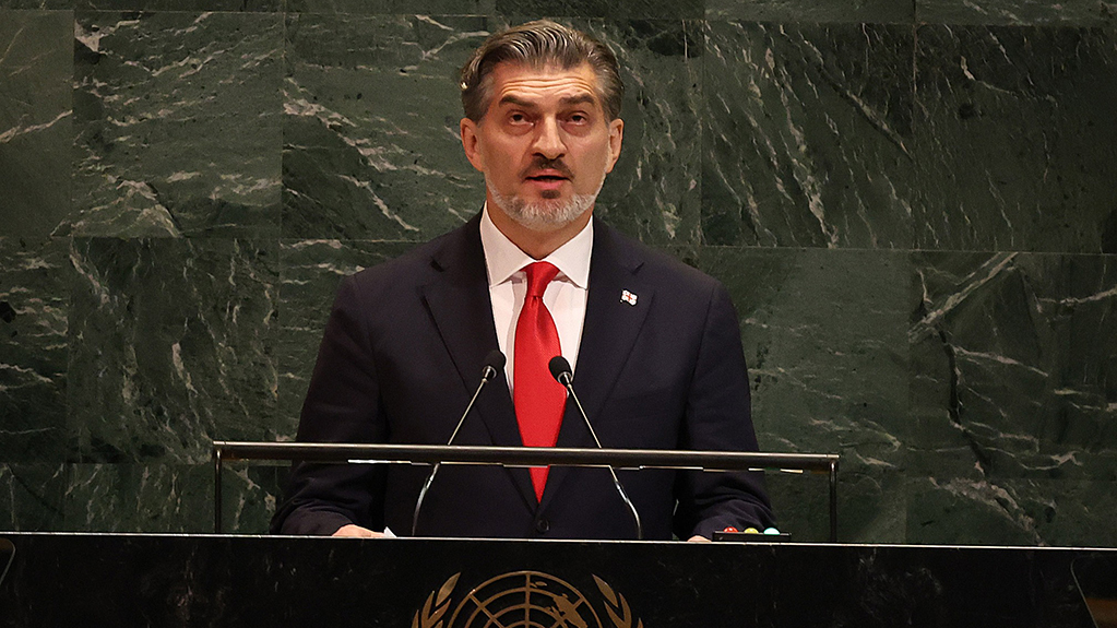  „ვითხოვთ სამართლიან და ღირსეულ დამოკიდებულებას“ – ყაველაშვილი გაეროს გენასამბლეას