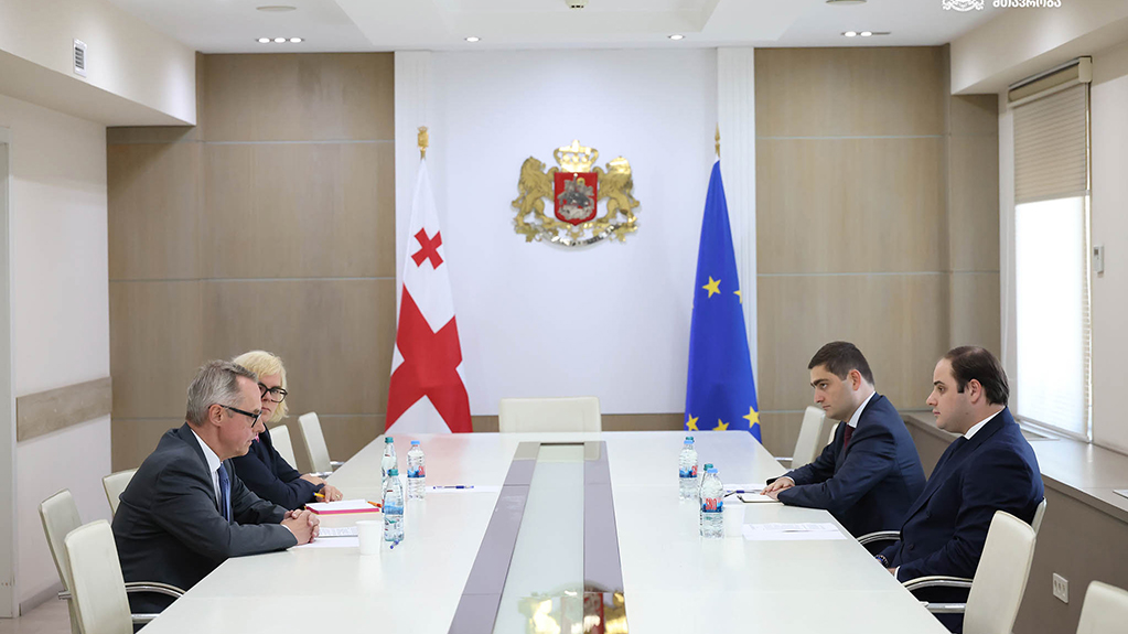  ელჩი: გერმანია დაფინანსებას მცირე ადმინისტრაციული ხარჯის მქონე მეგობრებზე მიმართავს