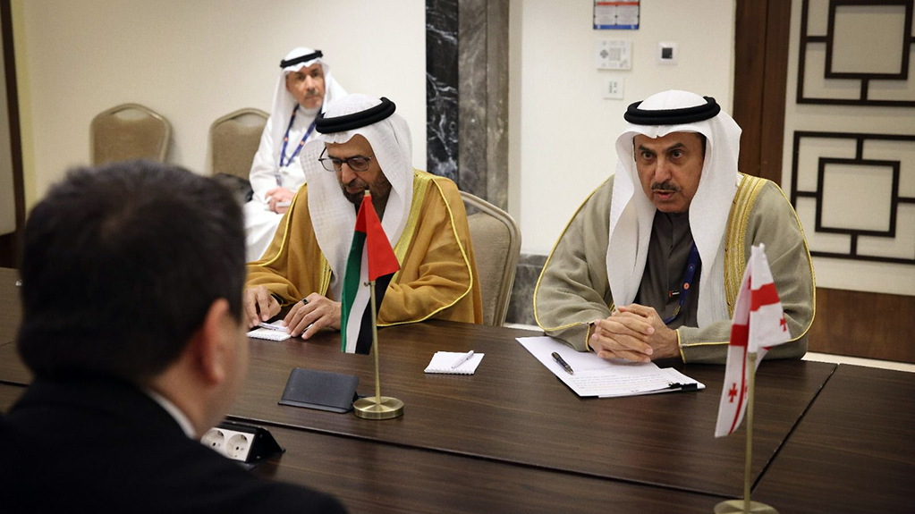  სამხარაძე: არაბმა პარტნიორებმა ინვესტიციების წინააღმდეგ კამპანიაზე რეაგირება გვთხოვეს