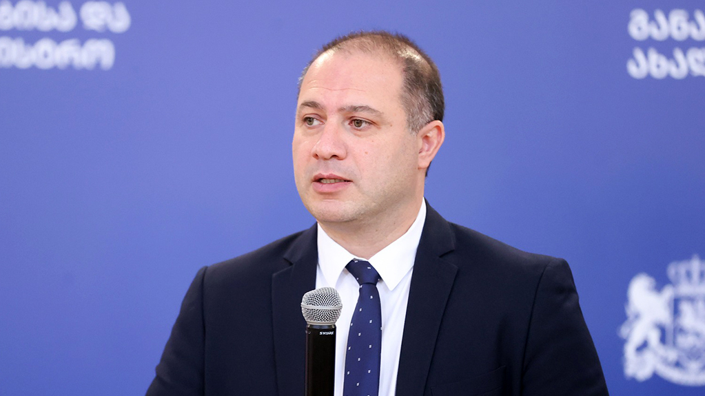  მიქანაძემ დაასახელა, რომელი სახელმწიფო უნივერსიტეტში რომელი მიმართულებები დარჩება