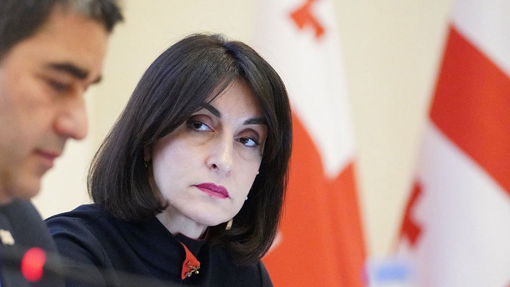  რუსეთი საქართველოს რეგიონების ანექსიისკენ დგამს ნაბიჯებს - მაკა ბოჭორიშვილი